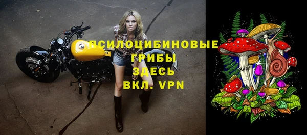 прущие грибы Сафоново