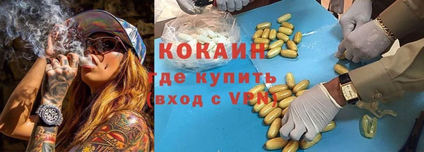 сатива Алзамай