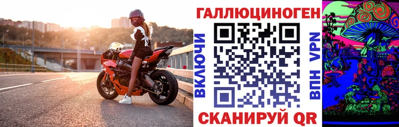 Псилоцибиновые грибы Psilocybe  Кувшиново 